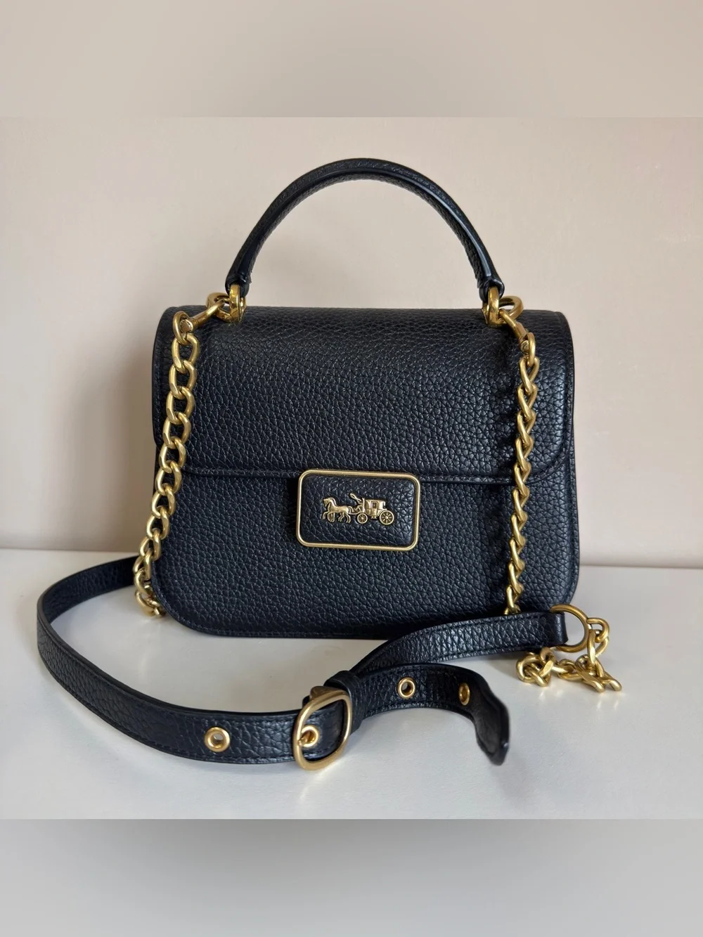Coach leather shows